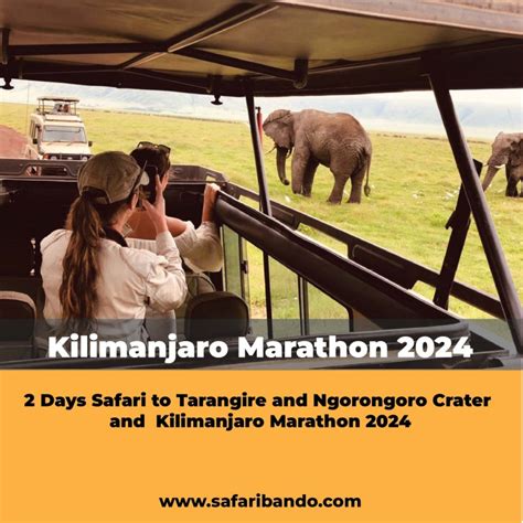 Kilimanjaro Marathon 2025 And 2 Days Safari To Tarangire And Ngorongoro