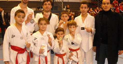 Un stage et des médailles au tae kwon do