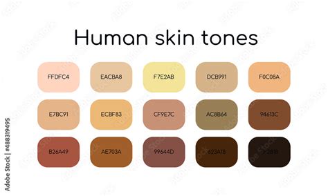 Vektorová grafika Skin tones palette by color codes Different types