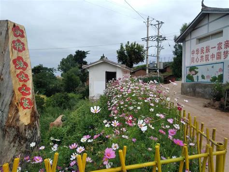 凉山乡人居环境整治助推绿美乡村建设 元谋县人民政府