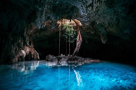 Dive deeper into the ancient sinkholes known as cenotes