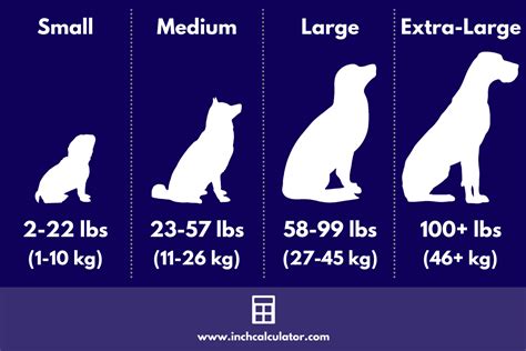 Dog Size Weight Chart How To Determine If Your Dog Is Overwe