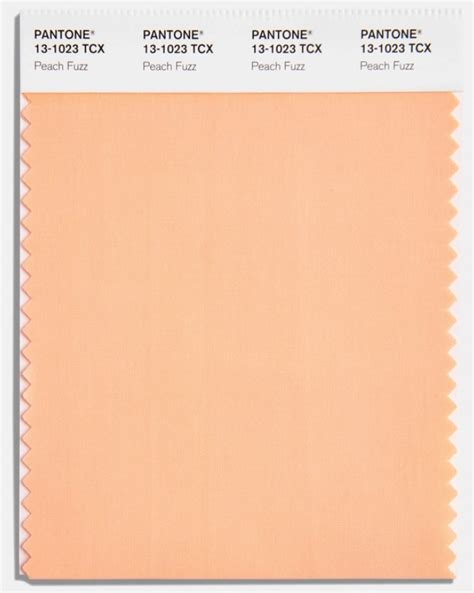 Every Iconic Pantone Color Of The Year From 2000 To 2024