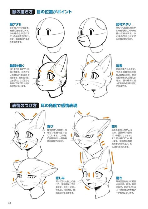 Cat Furry Furry Art Figure Drawing Reference Art Reference Photos