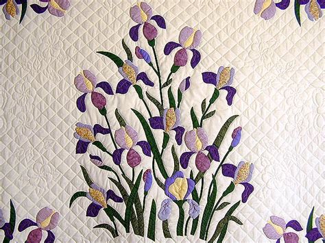 Purple And Yellow Iris Applique Quilt Hannahs Quilts