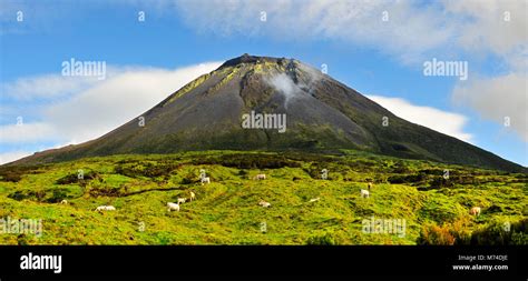 Pico volcano. Azores islands, Portugal Stock Photo - Alamy