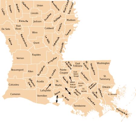 Louisiana's Demographics | Racial Groups & Examples | Study.com