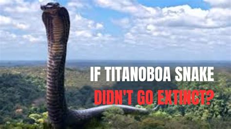 What If Titanoboa Snake Didn T Go Extinct Youtube