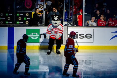 Is It Time to Rename Rhett, BU’s Mascot? | BU Today | Boston University