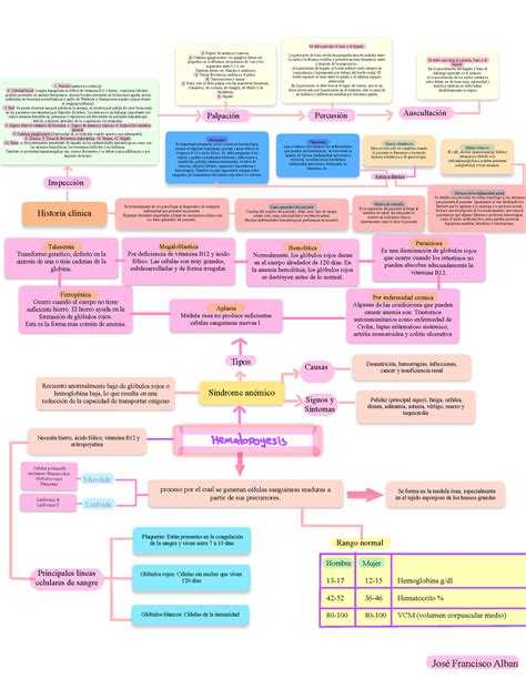 Mapa Mental De Semiologia Mapa Garden The Best Porn Website