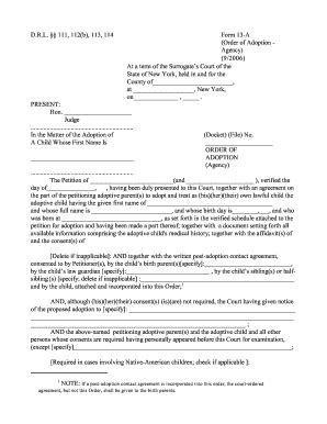 Fillable Online Nycourts Drl B Form A Order Of