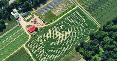 America’s Most Elaborate Corn Maze Is Made of GPS and Math | WIRED