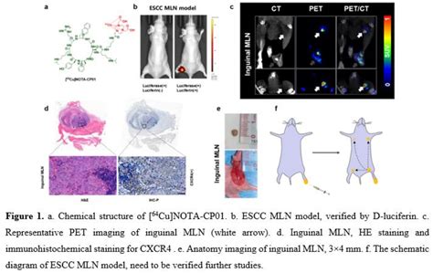 In Vivo Ultrasensitive Detection Of Lymph Nodes Metastasis Of Escc