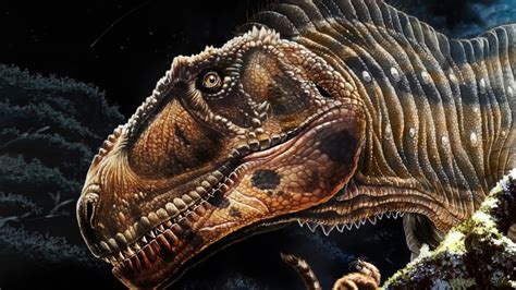 3 5 Katlı Bina Uzunluğunda Yeni Bir Dinozor Türü Keşfedildi Webtekno