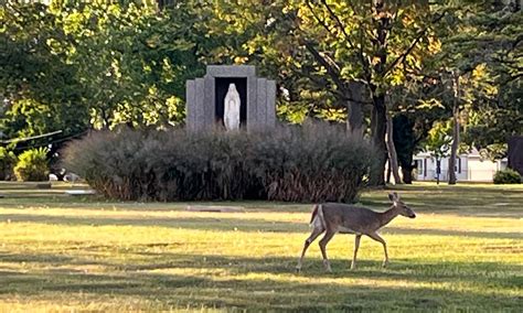 why holy cross cemetery milwaukee is considered a local landmark 20