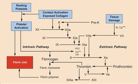 Topical Hemostatic Agents In Surgery A Surgeon S Perspective Samudrala 2008 Aorn Journal