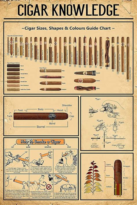 Cigar Knowledge Metal Tin Sign Cigar Size Shape Color Guide Diagram Metal Poster Plaque Used For