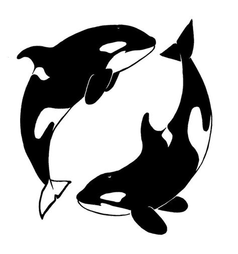 Killer Whale Silhouette at GetDrawings | Free download