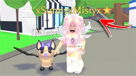 How To Become A Star On Adopt Me Sunnyxmisty S Tips To Become A Famous