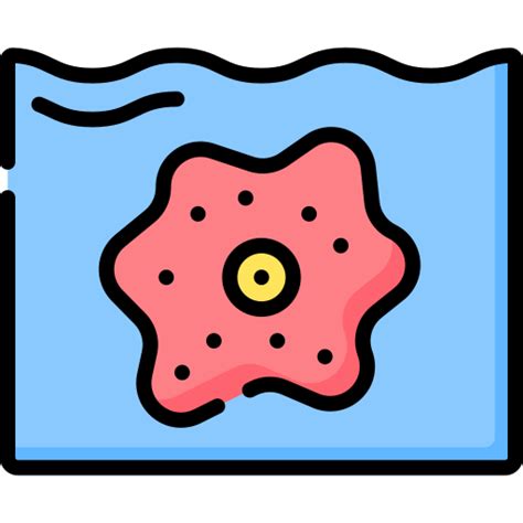 Amoeba Special Lineal Color Icon