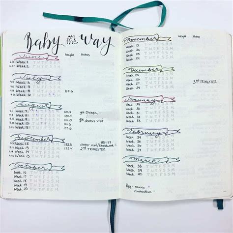 33 Pregnancy Tracker Bullet Journal Layouts To Capture Milestones Artofit