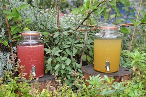 Primrose Hill Eats: Kombucha – On The Hill