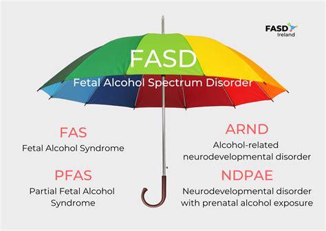 Fasd Ireland What Is Fasd