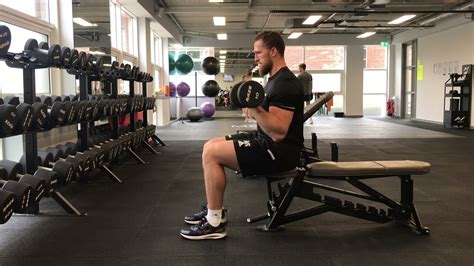 Seated Db Curl Youtube