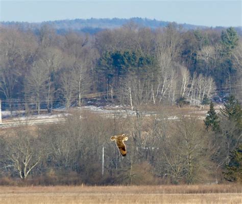 Shawangunk Grasslands National Wildlife Refuge Bird Walk — Putnam Highlands Audubon Society