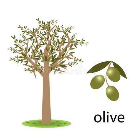 480 Cartoon Olive Free Stock Photos Stockfreeimages