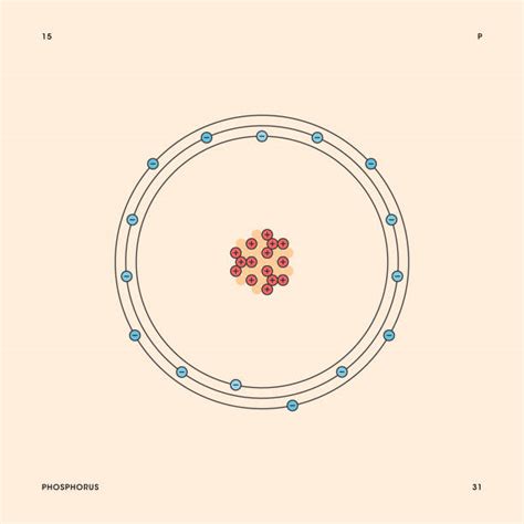 Phosphorus Atom Model Project