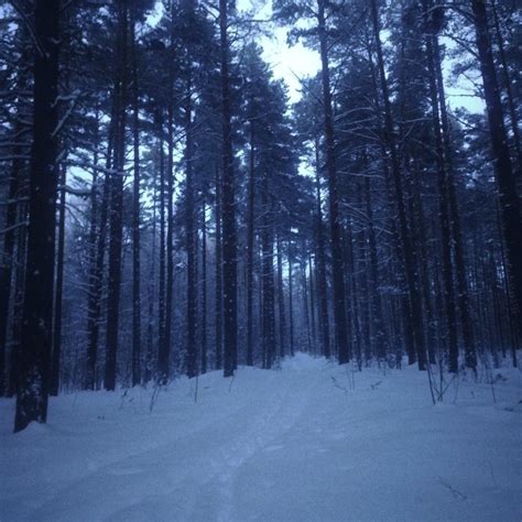 winter Мрачные места Пейзажи Зимние сцены