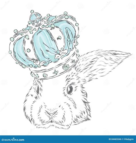 Funny Rabbit In The Crown Stock Vector Illustration Of Poster 84465546