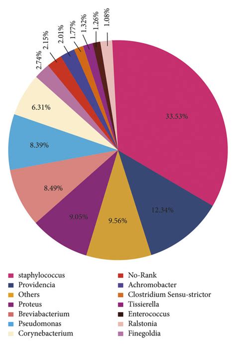 Pie Charts Showing Genus Level Composition Of Bacterial Communities In