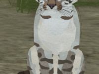 120 Wcue skins-Ideen | warrior cats, katzen, cat ideas