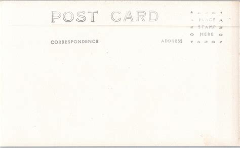 Lot Antique Rare Photo Postcard Pin Up Nude Females