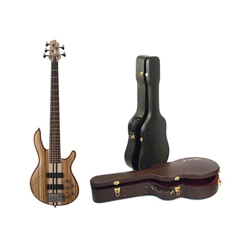 Custom 5 String Bass Guitars