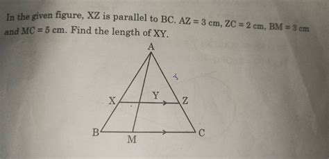 In The Given Figure Xz Is Parallel To Bc Az 3 Cm Zc 2 Cm Bm 3 Cm And Mc