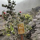 Kīlauea Iki & Crater Rim Trail, Hawaii, Hawaii - 9,362 Reviews, Map ...