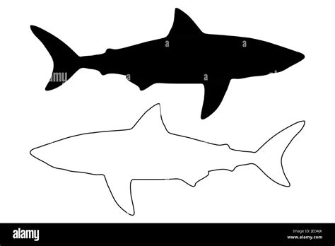 Shark Silhouette Vector Silhouette Fish Stock Vector Image Art Alamy