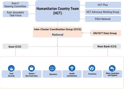 Coordination Structure United Nations Office For The Coordination Of