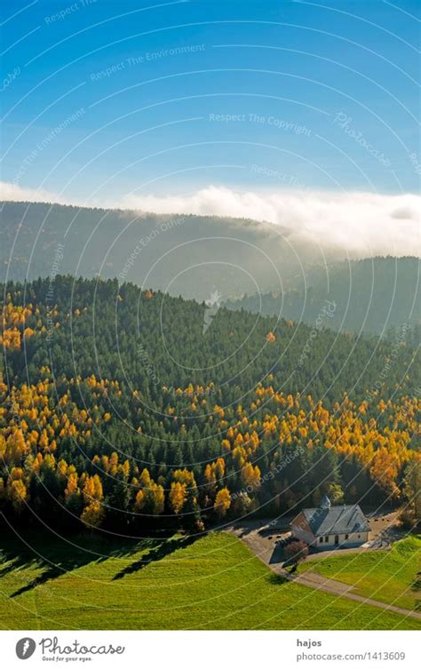 Blick herbstlich verfärbten Wälder der Vogesen ein lizenzfreies Stock