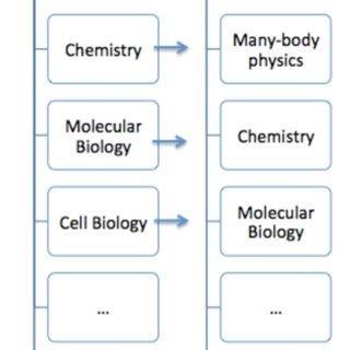 The Hierarchy Of Sciences Adapted From Anderson P