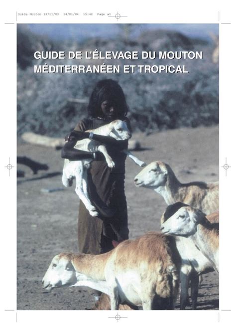 Pdf Guide De L Levage Du Mouton Mditerranen Et Tropical Guide De L