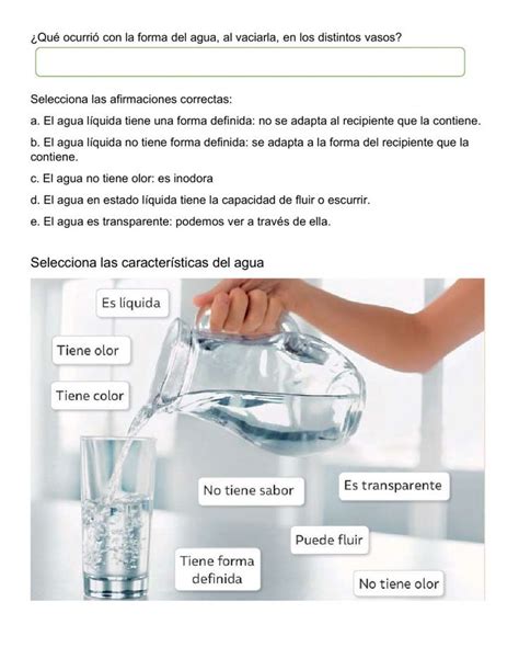 El Agua Ficha Interactiva Ciencias De La Naturaleza Ciencias