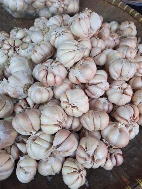 Bawang Putih Honan Bawang Putih Bersih Pilihan Kg Bisa Cod Lazada