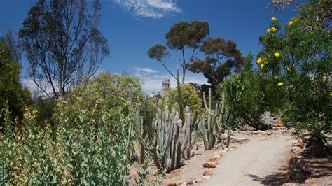 Balboa Park Trails — Hike Review | Condé Nast Traveler