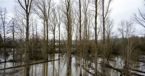 Wwf Nur Ein Prozent Der B Che Und Fl Sse Naturnah Baden W Rttemberg