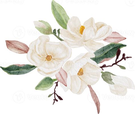 Watercolor White Magnolia Flower And Leaf Bouquet Clipart 18249965 Png