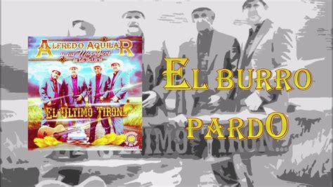 El Burro Pardo Alfredo Aguilar Y Sus Magnificos YouTube